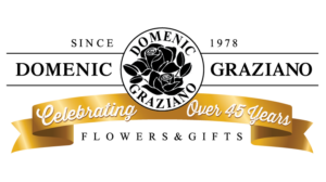 DGF Logo